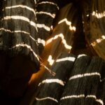Zonlicht creëert gestreepte patronen op houten boomstammen, waardoor natuurlijke texturen en schaduwen worden benadrukt.